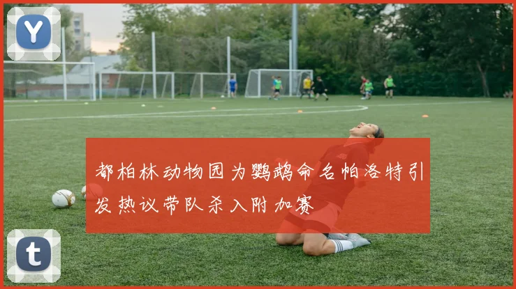 都柏林动物园为鹦鹉命名帕洛特引发热议带队杀入附加赛